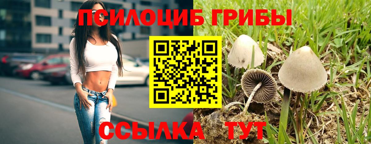 Галлюциногенные грибы Psilocybe  Вход с VPN  купить наркотик  Лангепас 
