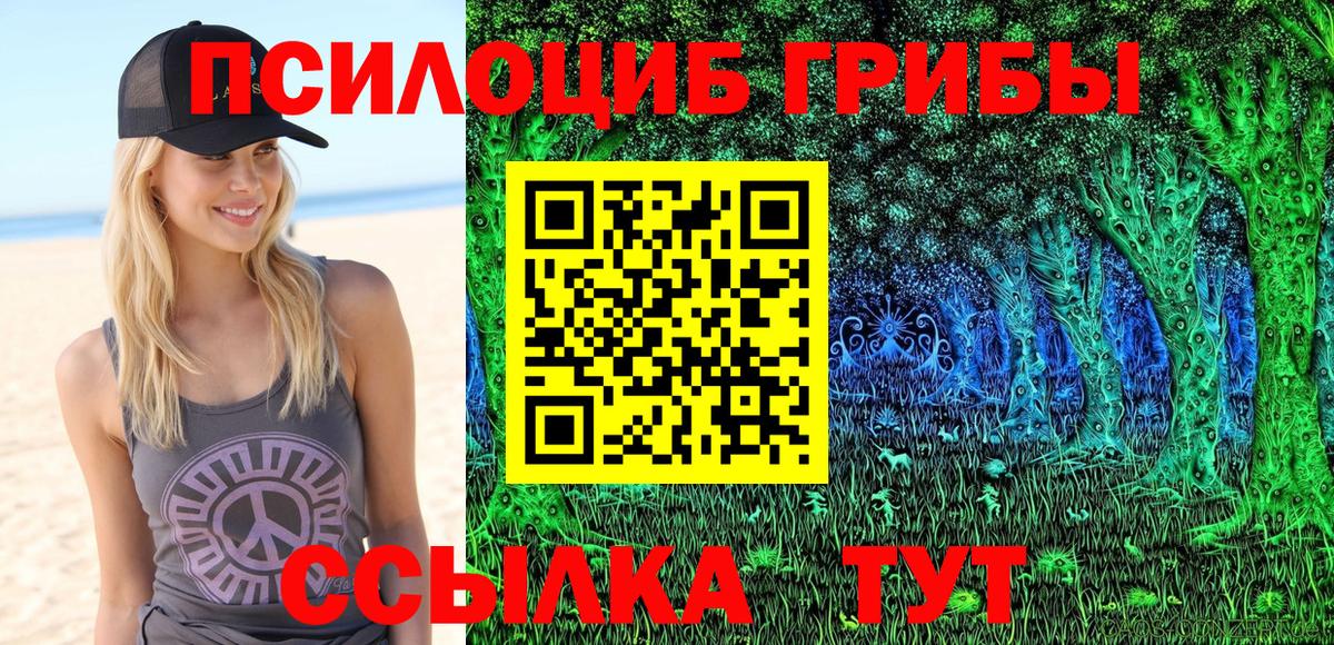 Галлюциногенные грибы Psilocybine cubensis Лангепас